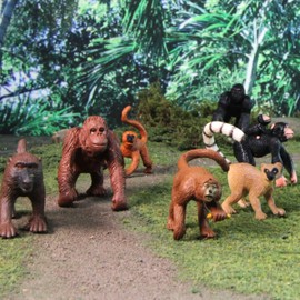 Safari Ltd. Apes & Monkeys TOOB - 12 Figurines: Baboon, Orangutan, Tamarin, Lemur, Gorilla, Mandrill, Chimp, Squirrel, Spider, & Woolly Monkeys - Educational Toy Figures For Boys, Girls & Kids Ages 3+