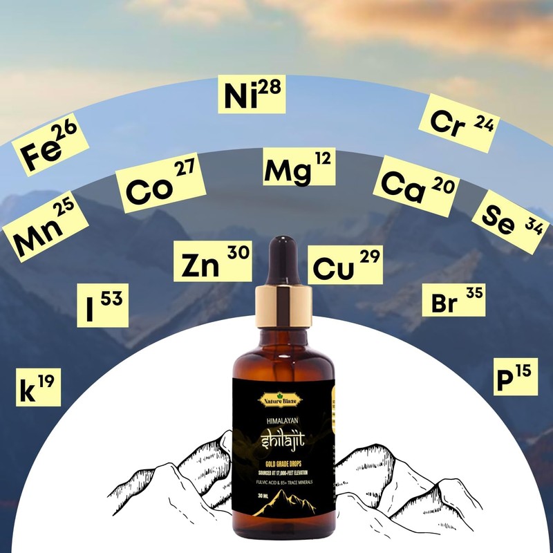 Nature Blaze Pure Organic Himalayan Shilajit Drops for Men &