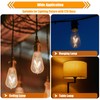 winsaLED 12 Pack 2W LED Edison Bulbs, 25 Watt Light