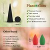 100 Unscented Charcoal Incense Cones 2" TOPFLOW - 100% Natural