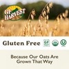 GF Harvest Gluten Free Organic Oat Groats, 2.5 Pound Bag,
