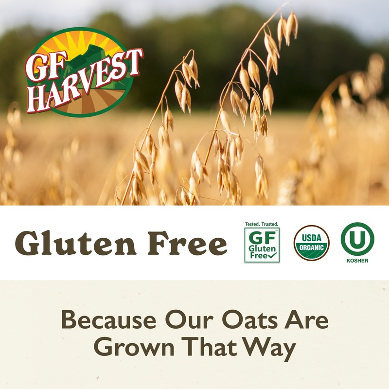 GF Harvest Gluten Free Organic Oat Groats, 2.5 Pound Bag,