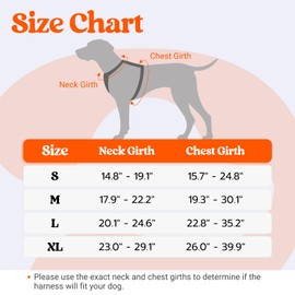 rabbitgoo Dog Harness Medium Sized, No Pull Pet Harness with Soft Padded Handle, Adjustable Reflective Vest with 3 Buckles, Easy Walking Harness with 2 Leash Clips, Orange, XL