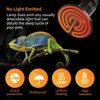Simple Deluxe 50W Ceramic Heat Emitter Reptile Heat Lamp Bulb