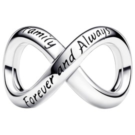 Ruaidhra Sterling Silver Charms Pendant, Infinity Friendship Family Heart Charms, Charms for Bracelet Necklace, Charm Clip Stopper Bead Charms for Women, Sterling Silver