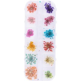 Mini Mixto, Decoración de Flores Secas para Uñas, 12 Colores de Manicura de Flores Secas para Uñas, Decoración de Bricolaje, Flores Prensadas, Mini Pegatinas Mixtas para Arte de (Un tipo lleno de estrellas)