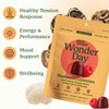 Plant People WonderDay Mushroom Gummies - Lion’s Mane, Cordyceps, Chaga