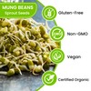Mung Bean Sprouting Seeds - NON GMO- Resealable Bag for