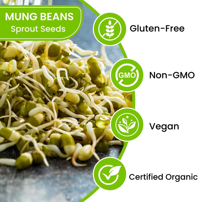 Mung Bean Sprouting Seeds - NON GMO- Resealable Bag for