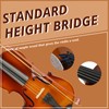 Ktaxon 3/4 Violin for Beginners, Fiddle for Students and Enthusiasts,