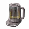 ICOOKPOT Titanium Hot Tea Maker Glass Electric Kettle with Infuser