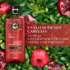 Herbal Essences Shampoo Pelo Largo Granada Y Proteína Vegana 600