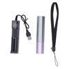 Near Infrared Lighting Treatment Torch 630 660 850nm Purple Cover