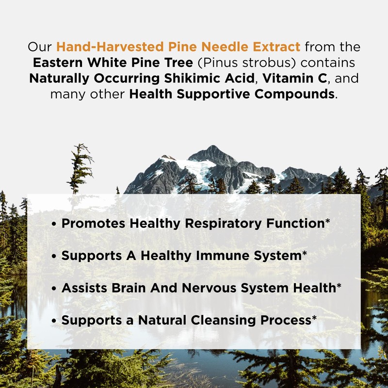 Ascent Nutrition Pine Needle Extract | Contains Naturally Occurring Shikimic