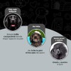 Fancy Pets Shampoo Essentials para Perros Pelo Negro con Extracto