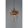 Trio Leuchten Birte 303800162 LED Pendant Light Antique Copper Metal