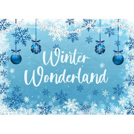 LYCGS 7x5ft Blue Winter Wonderland Backdrop Snowflake Winter Photography Background Christmas Ball Decorative Backdrop Baby Shower Children Kids Birthday Party Banner X-439