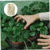 NOLITOY 22pcs Hydroponic Plant Grow Plugs for Soilless Transplanting Plugs