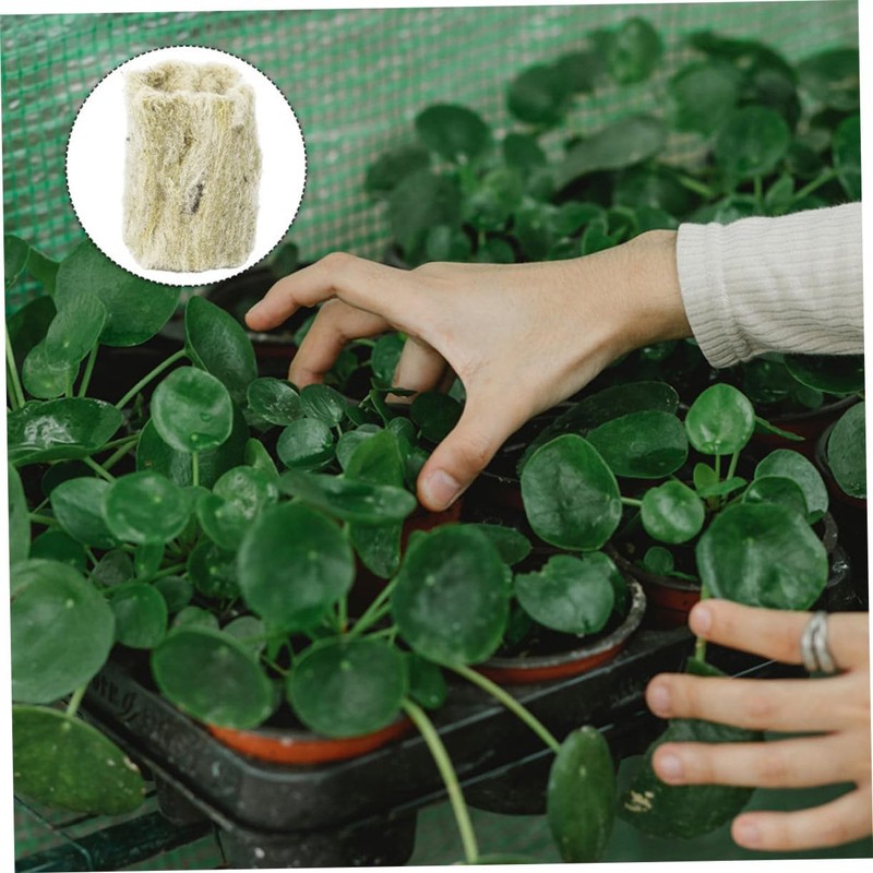NOLITOY 22pcs Hydroponic Plant Grow Plugs for Soilless Transplanting Plugs