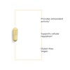 Integrative Therapeutics Integrative Therapeutics Alpha-Glycosyl Isoquercitrin - Quercetin Supplement to