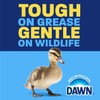 Dawn Ultra Liquid Dish Detergent, Dawn Original, 38 oz Bottle,