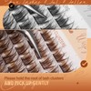 JIMIRE Brown Cluster Lashes Wispy Individual Eyelashes Natural Dark Brown