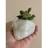 Glow in the Dark Space Alien Head Planter - Mini