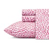 Betsey Johnson Performance Collection Bed Sheet Set - Lightweight, Breathable,