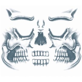 Costumes for all Occasions DFCT411 Tattoo Skull Face