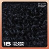 Clairol Textures & Tones Permanent Hair Dye, 1B Silken Black