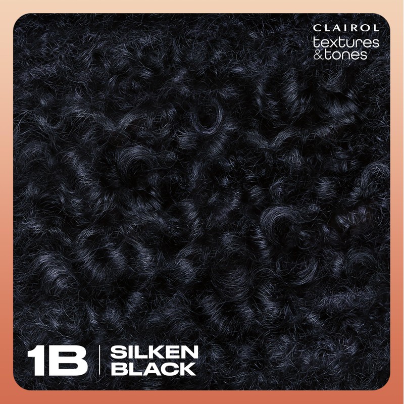 Clairol Textures & Tones Permanent Hair Dye, 1B Silken Black