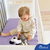 NatureMark Set of 2 Children's Jersey Fitted Sheets, 100% Cotton,