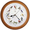 Lovely Collection 14-inch Plays 12 Popular North American Bird's Songs