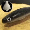 FOLANDO 7pcs Paddle Tail Fishing Lure Kit - Soft Plastic