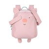 LÄSSIG Children's Kindergarten Rucksack with Chest Strap, for Ages 3+,