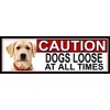SHAWPRINT Yellow Labrador CAUTION DOGS LOOSE AT ALL TIMES METAL