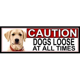 SHAWPRINT Yellow Labrador CAUTION DOGS LOOSE AT ALL TIMES METAL GATE SIGN 266mm x 87m. (620H2)