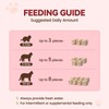 Freeze Dried Duck Liver Cat Dog Treats Single Ingredient Food