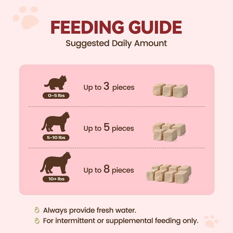 Freeze Dried Duck Liver Cat Dog Treats Single Ingredient Food