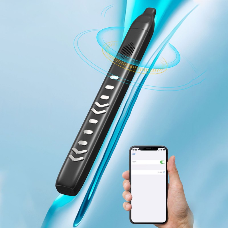 Electric Blowpipe 10 Timbre Mini Portable Rechargeable Detachable Digital Wind