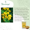 Yauvanya 100% Pure Cassia (Neutral Henna) Powder - 3 x