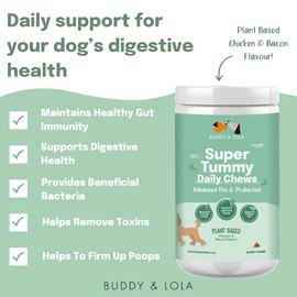 Buddy & Lola Probiotics For Dogs - Daily Dog Probiotic Chews For Digestive Health - Beneficial Prebiotics, Probiotics & Fibre For Better Gut, Firm Stools, Less itching - Plant Based Chews For Dogs