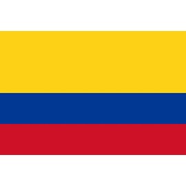 Colombia 2'x3' Polyester Flag