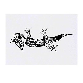 'Cute Lizard' Temporary Tattoo - Water Resistant, Skin-Safe, Non-Toxic Transfer (TO00023108)
