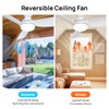Consciot Ceiling Fan, Ceiling Fan With Lights Remote Control, 44