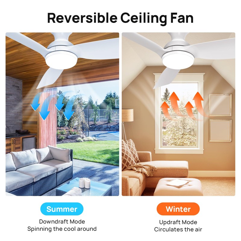 Consciot Ceiling Fan, Ceiling Fan With Lights Remote Control, 44