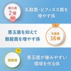 Lactobacillus Supplement, Intestinal Activity, Lactic Acid Bacteria Supplement, Support Ingredients
