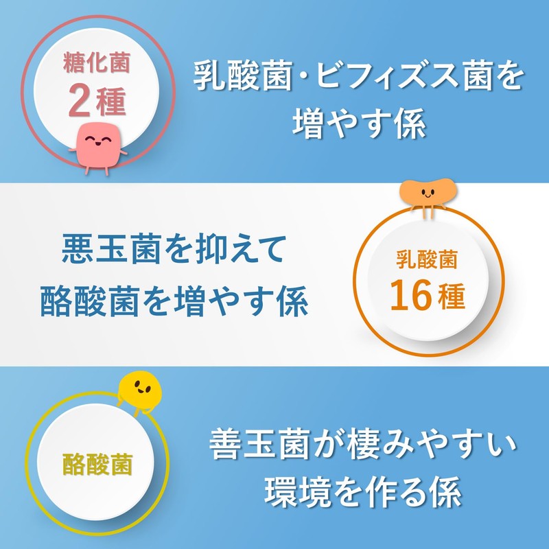 Lactobacillus Supplement, Intestinal Activity, Lactic Acid Bacteria Supplement, Support Ingredients