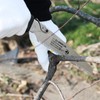KAKURI Japanese Hand Saw [Tree Pruning] 8-1/4" Japanese Pull Saw
