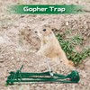 Qualirey 4 Pcs Outdoor Gopher Trap Easy Set Mole Trap